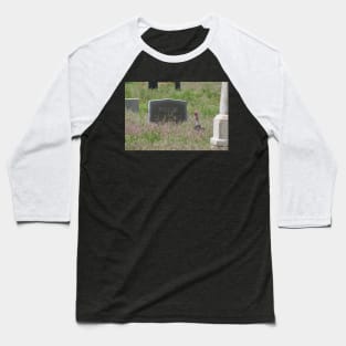 A Visitor Baseball T-Shirt
